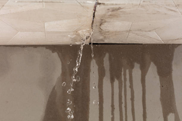 Professional Burst Pipe Cleanup technician working in College Point, NY